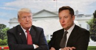 Elon Musk Says He Was Invited to White House Reception but Will Not Attend