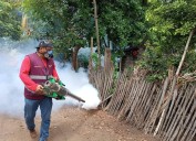 Tabasco refuerza acciones contra el dengue ante temporada de lluvias