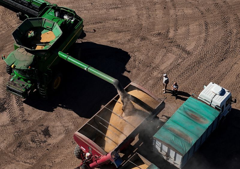 China expands Argentina soybean buying to 20 cargoes, traders say