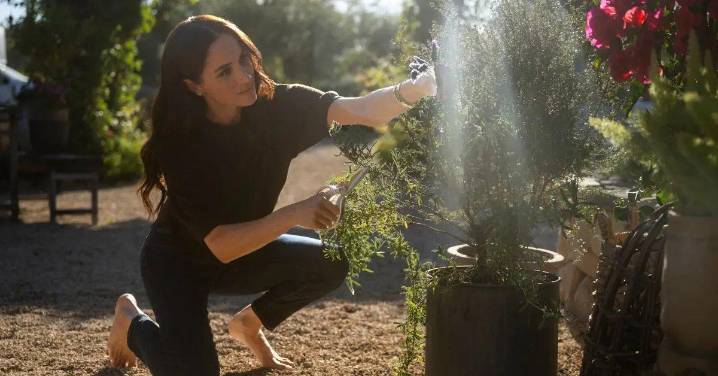 Meghan Markle's Netflix Show Will Likely Be Canceled Unless She 'Pitches Season 3 as Something That Would Shock Everyone'