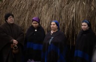Mujeres Mapuche: Memoria, resistencia y futuro
