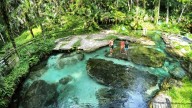 Should a ‘Florida Springs National Park’ be created?