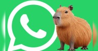 Guía actualizada para activar el verdadero 'MODO CAPIBARA' en WhatsApp totalmente gratis