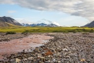 Fenómeno alarmante: ríos naranjas en Alaska por el cambio climático