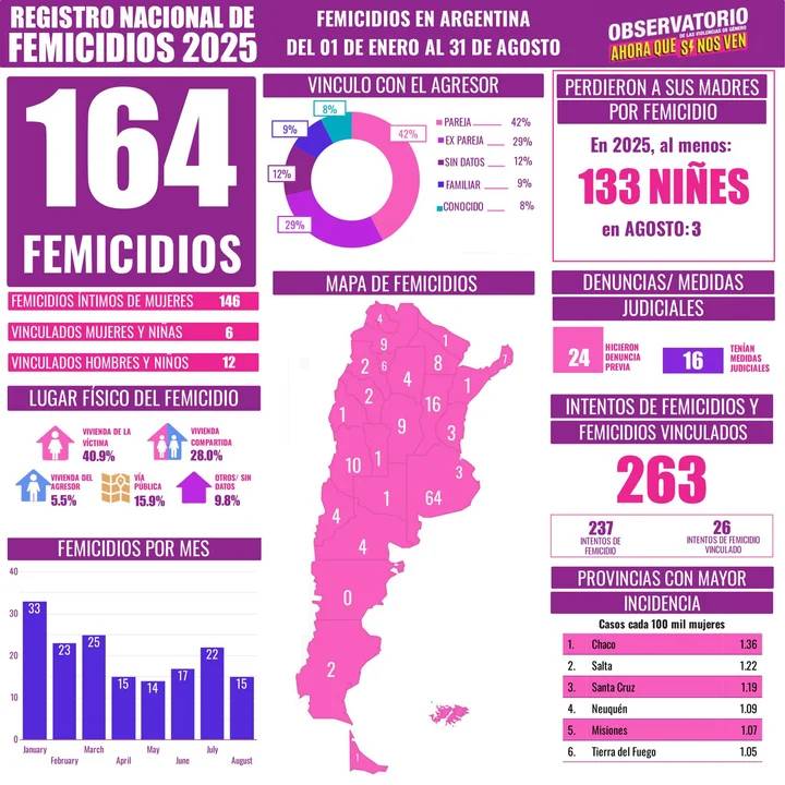 Observatorio “Ahora que sí nos ven”: hubo 164 femicidios en lo que va del 2025