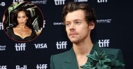 EXCLUSIVE: Secrets Of Harry Styles' $16Million Sex Toy Empire Revealed