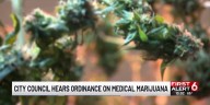 Omaha City Council hears ordinance on medical marijuana