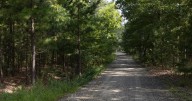 Egg Harbor City wants houses built on 200 acres of undeveloped land