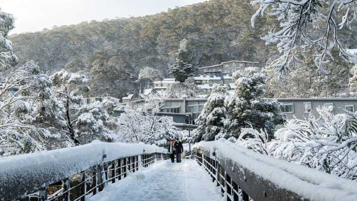 Skier dies in horror Thredbo crash marking second death on the slopes in two months