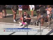 Hilliard pool goes to the dogs in annual end