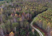 Un chequeo anual a 2.232 árboles para conocer la salud de los bosques cántabros