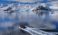 Descubrimiento del siglo en la Antártida: hallan criaturas marinas nunca vistas