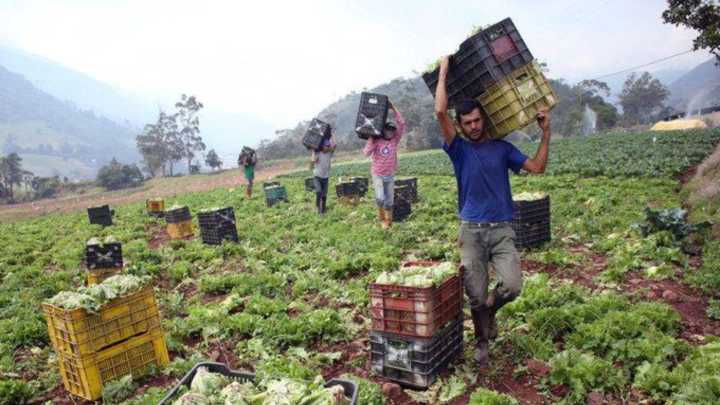 Productores agrícolas solicitan financiamientos para impulsar el sector #15Sep