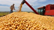 La Confederaciones Rurales Argentinas reclamó por la prórroga en la baja de retenciones