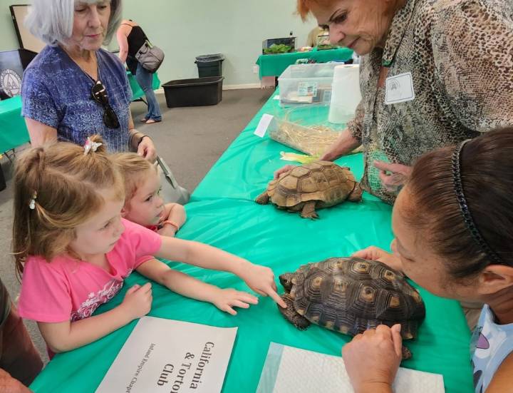 California Turtle and Tortoise Club will hold annual show in Redlands