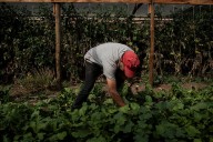 ADN Hoy. Centro de Políticas Migratorias destaca importancia de regularizar migrantes, pero advierte: “La trata de personas es un riesgo“