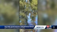 More than 4.8 million gallons recovered from waterways in Tangipahoa Parish