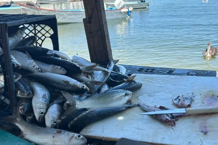 El pescador que resiste: 50 años de tradición ribereña en La Paz