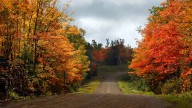 DNR expects 2025 to be great for fall colors