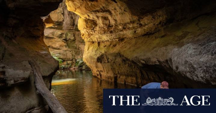 Sydney Water PFAS scandal: Inquiry reveals ‘forever chemicals’ oversight in drinking water catchments