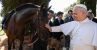 El caballo de Pura Raza Española convertido en símbolo mundial en el Vaticano