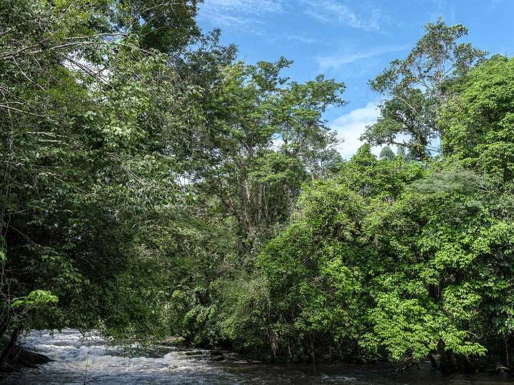 Control político a MinAmbiente, Hacienda y Dian por mercados de carbono