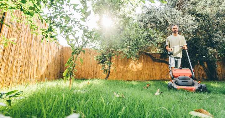 Gardening experts explain when you should put your lawn mower away until next year
