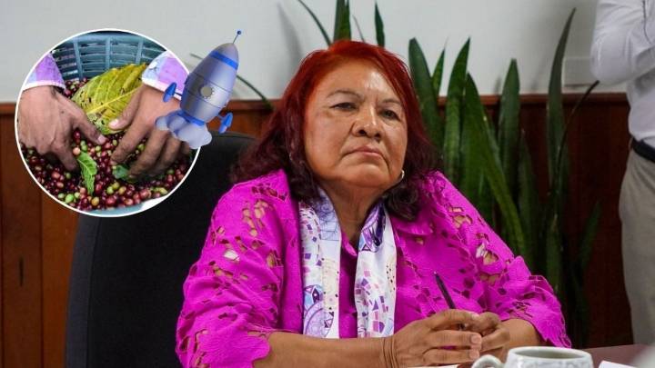 La diputada de Morena que propuso nave espacial para llevar café de Veracruz a Marte: ¿Quién es?