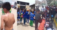 Lambayeque: abejas atacan a escolares en juego de olimpiadas