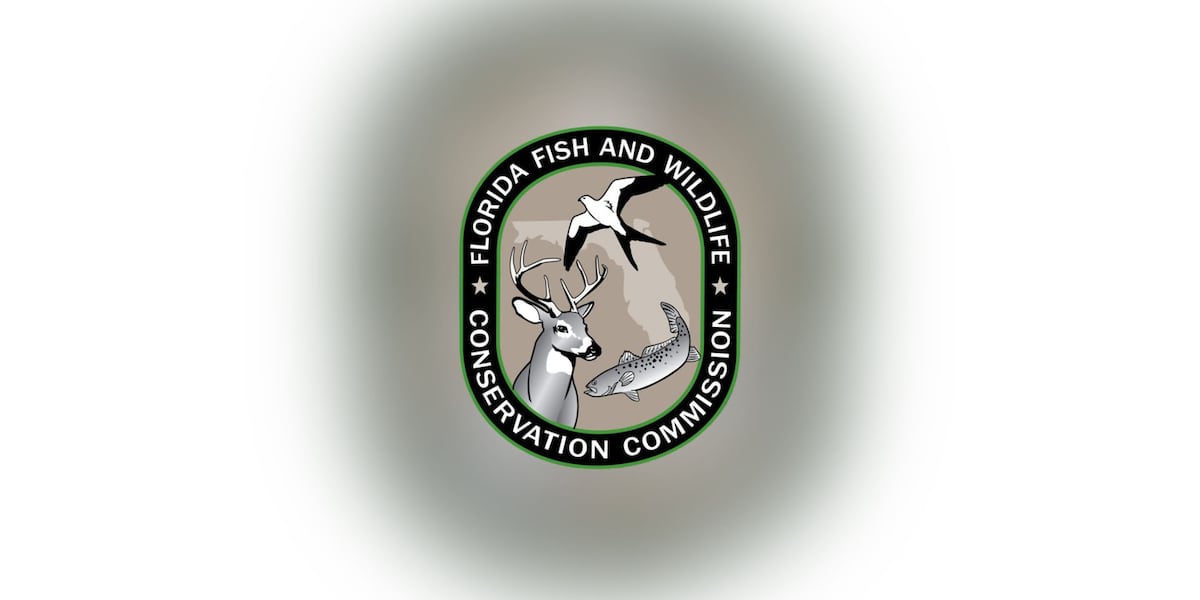 Gulf recreational greater amberjack season closing due to overfishing concerns
