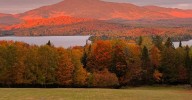 Best Leaf-Peeping Drives With Dog-Friendly Stops In Maine