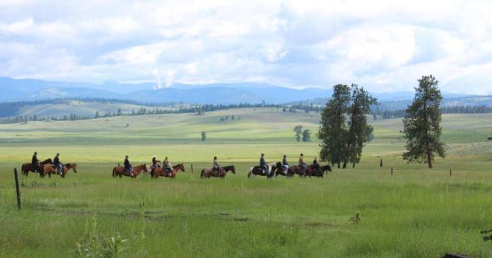 Horse law shields Paws Up luxury ranch from lawsuit, Montana Supreme Court rules