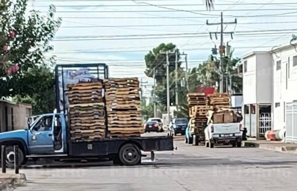Denuncian a chatarrera por generar insalubridad