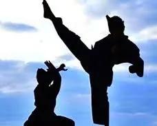 5 DPS Srinagar students to represent India at Junior Asian Pencak Silat Championship