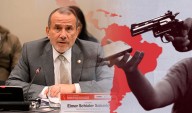 Canciller Elmer Schialer: “El principal problema que tiene el Perú es la inseguridad"