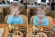 Mom Confused by What Toddler Is Doing in High Chair, Then Sees Man's Hand