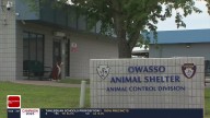 Owasso Animal Shelter investigation clears facility of wrongdoing, offers improvement recommendations