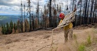 Alaska’s million-acre wildfire season, typical in size, had some unusual features