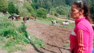 Mar Berjón, pareja del ganadero asesinado en su casa de Cueves (Ribadesella): "Los que mataron a Toño no merecen vivir"