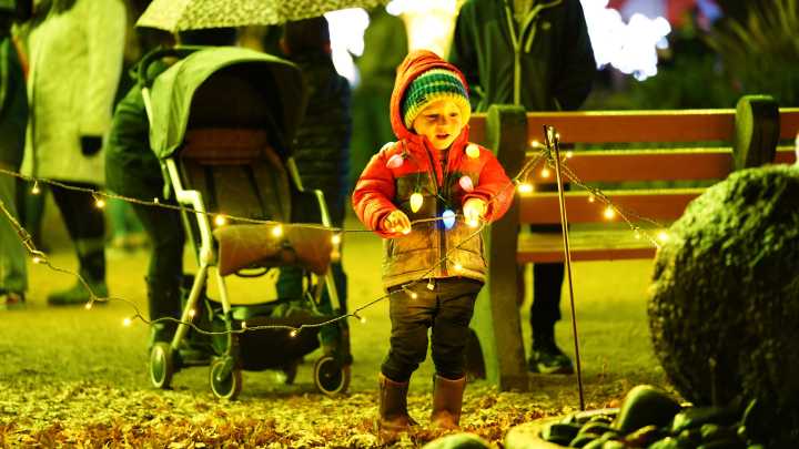 Redding Garden of Lights tickets on sale