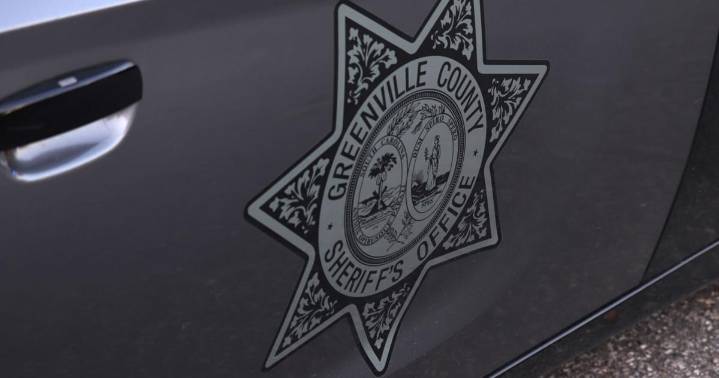 Upstate kennel operator charged with animal cruelty