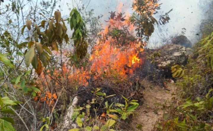 15 incendios forestales en ocho municipios de Cundinamarca.