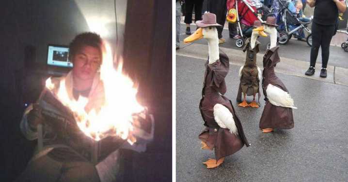 100 Disturbing Pictures So Wrong They Have To Be Cursed