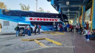 Habrá servicio de transporte especial para la Fiesta Nacional del Pomelo
