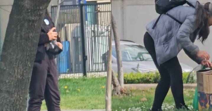 Denuncian insólita caza de palomas en Providencia: restaurante las compraría por mil pesos