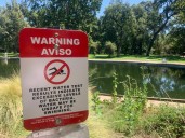 5 reasons Chico’s E. coli outbreak likely isn’t linked to homeless people