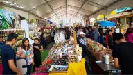 Tulancingo: arrancan las fiestas patrias en el jardín La Floresta