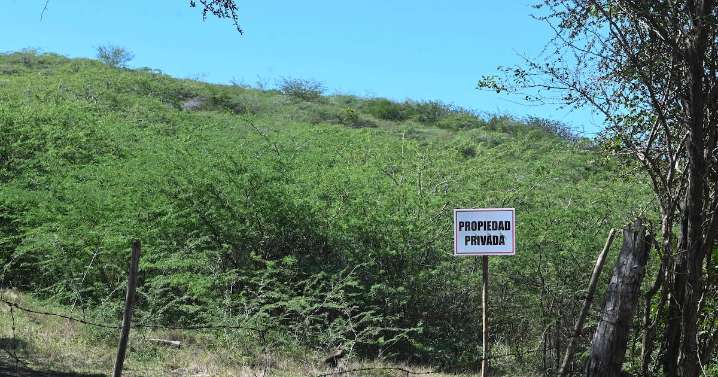 DRNA advierte que el proyecto Esencia impactará hábitats críticos y especies en peligro en Puerto Rico