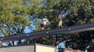 You have to see this! Dramatic footage shows child walking on monorail track at Hersheypark