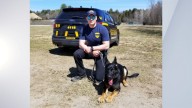 Saratoga Co. Sheriff's Office mourns passing of retired K